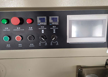 Horizontal Stainless Steel Frozen Food Packing Machine