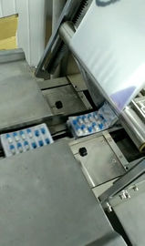 French Fries Multifunction Automatic Snacks Packing Machine