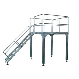 5kg Rice Packing Machine