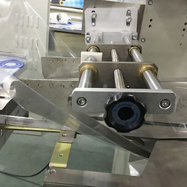 Tomatoes Fruit Vegetable Packing Machine