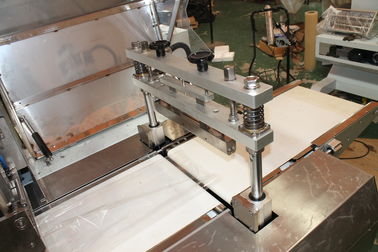 Pillow Bag Meat / Dumpling Frozen Food Packing Machine