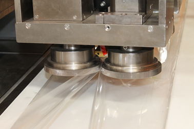 Pillow Bag Meat / Dumpling Frozen Food Packing Machine