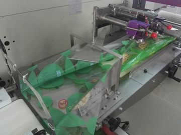 Pillow Bag Frozen Food Packing Machine