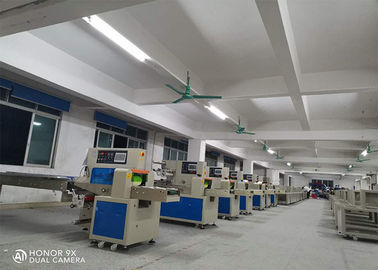 Horizontal Agricultural Products Fruit Vegetable Packing Machine