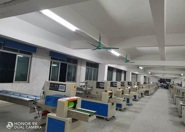 Horizontal Agricultural Products Fruit Vegetable Packing Machine